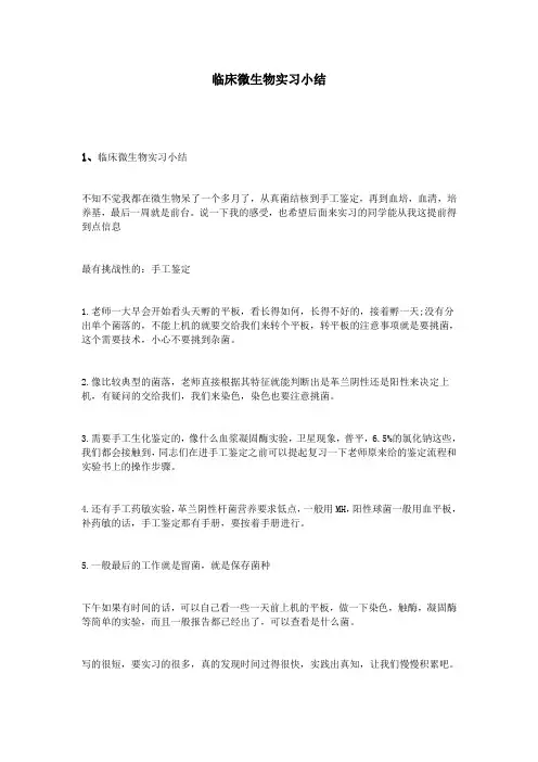 临床微生物实习小结