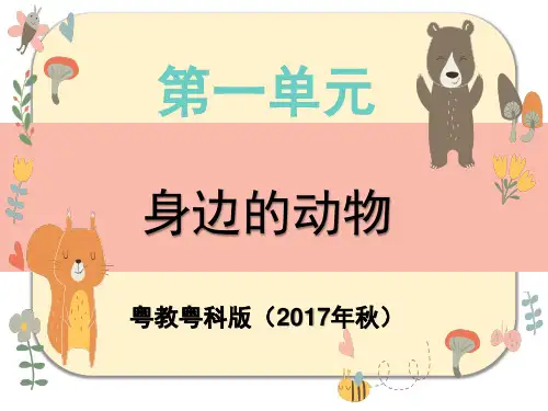 二年级下册科学菜叶上的蜗牛(含视频素材)粤教版
