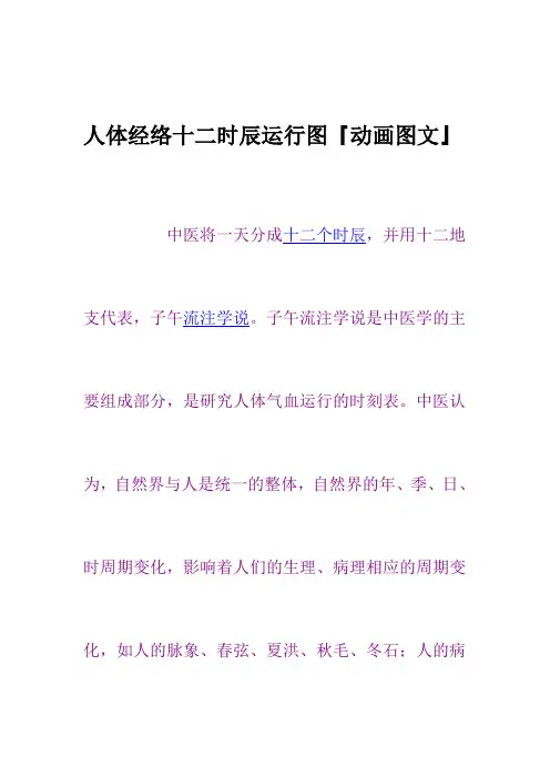 人体经络十二时辰运行图