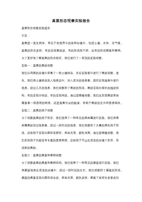 真菌形态观察实验报告