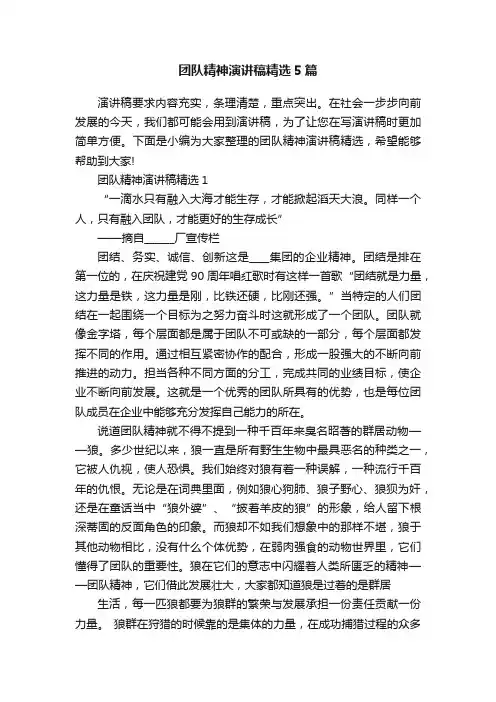 团队精神演讲稿精选5篇