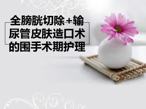 全膀胱切除+输尿管皮肤造口术的围手术期护理PPT课件