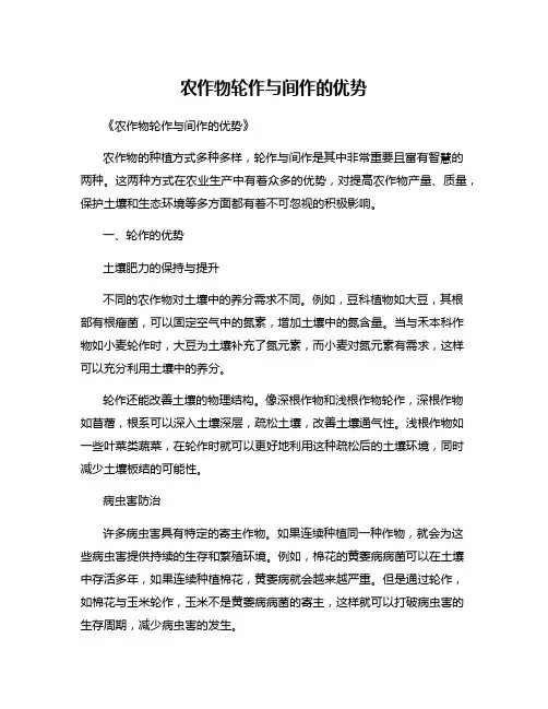 农作物轮作与间作的优势