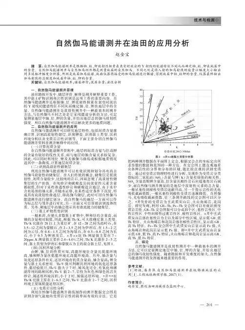 自然伽马能谱测井在油田的应用分析