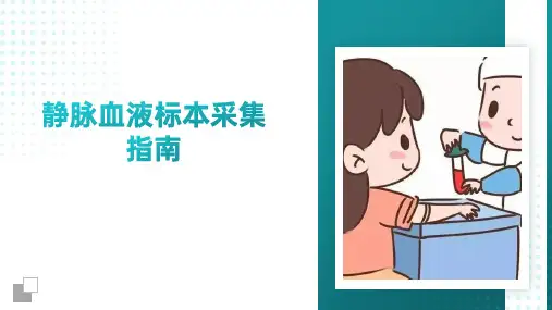 静脉血液标本采集指南