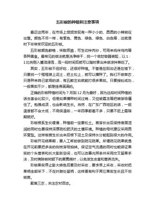五彩椒的种植和注意事项