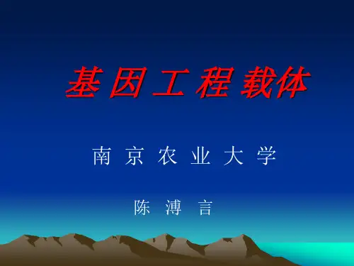 基因工程载体(质粒)(三)