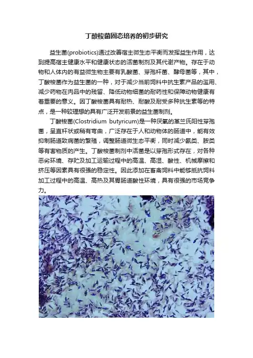 丁酸梭菌固态培养的初步研究