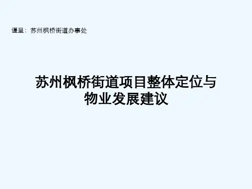 世联_苏州枫桥街道项目整体定位与物业发展建议_195PPT