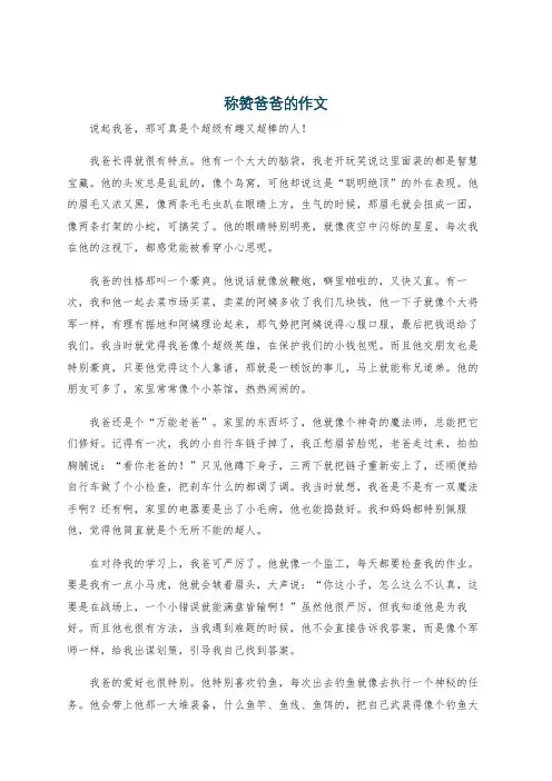 称赞爸爸的作文