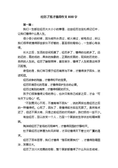 经历了我才懂得作文800字