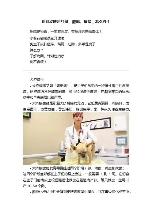 狗狗皮肤起红斑、脓疱、瘙痒，怎么办？