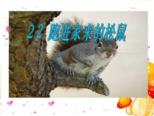 《跑进家来的松鼠》ppt课件8