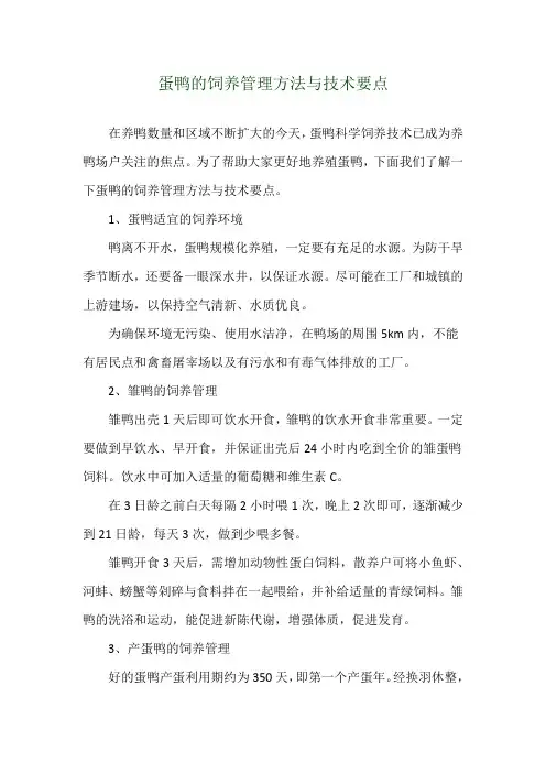蛋鸭的饲养管理方法与技术要点