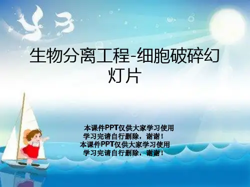 生物分离工程-细胞破碎幻灯片
