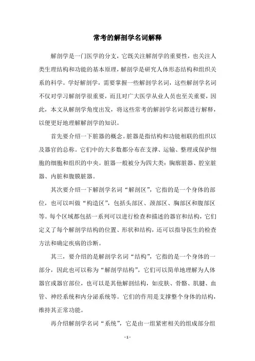 常考的解剖学名词解释