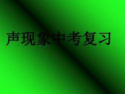 中考物理总复习《声现象》PPT课件