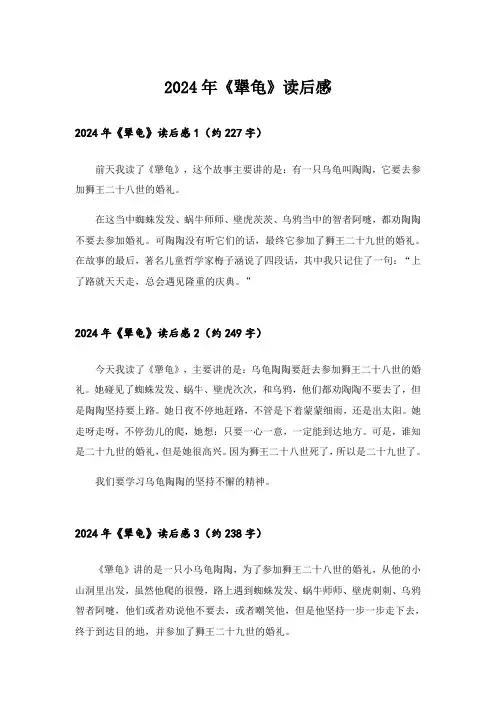 2024年《犟龟》读后感_2