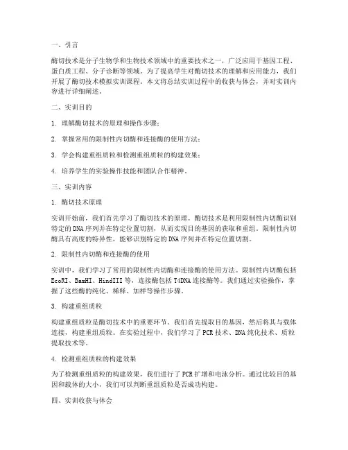 酶切技术模拟实训报告总结