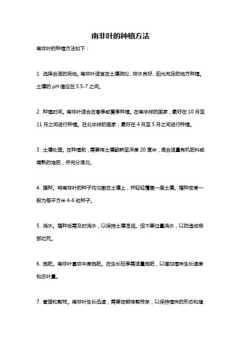 南非叶的种植方法