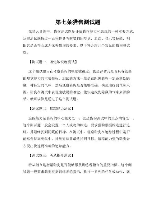 第七条猎狗测试题