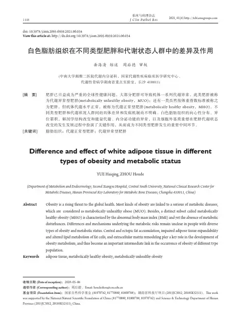 白色脂肪组织在不同类型肥胖和代谢状态人群中的差异及作用