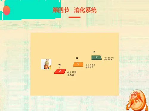 前儿童消化系统及其保育要点