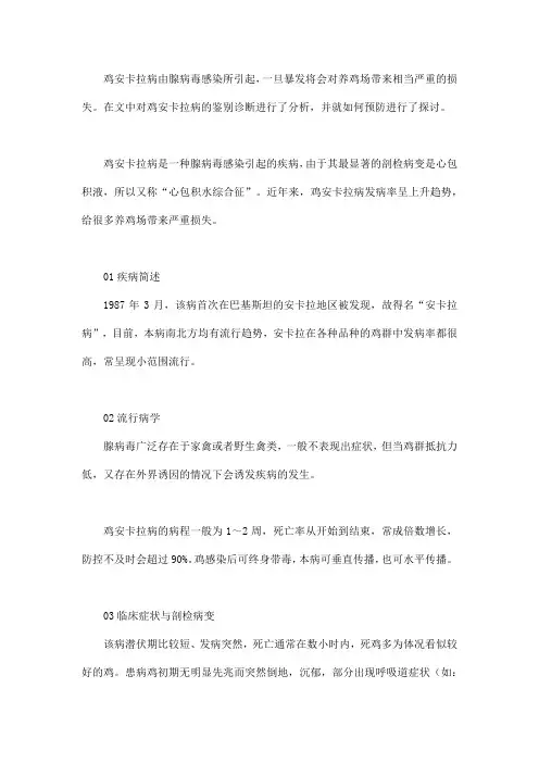 鸡安卡拉病的鉴别诊断和预防措施