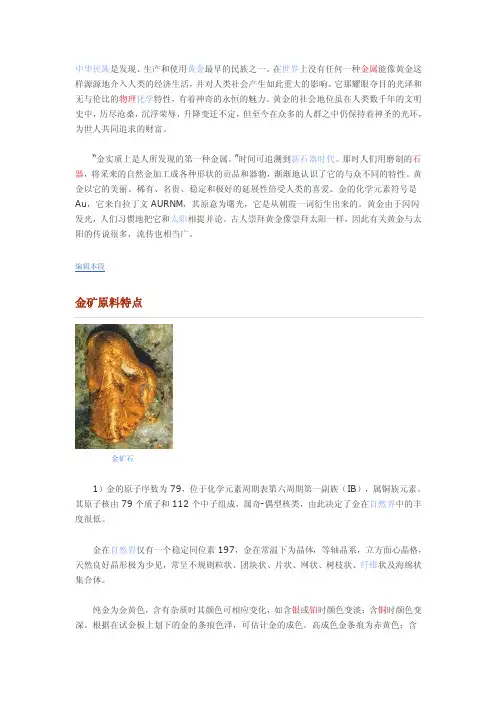 金矿简介——精选推荐