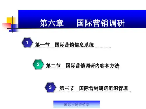 国际市场营销学第6章国际营销调研.ppt