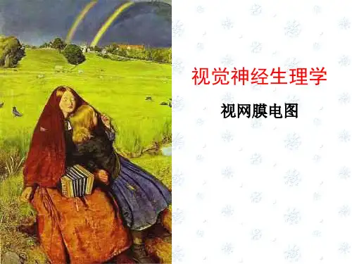 视觉神经生理学ppt课件 视网膜电图
