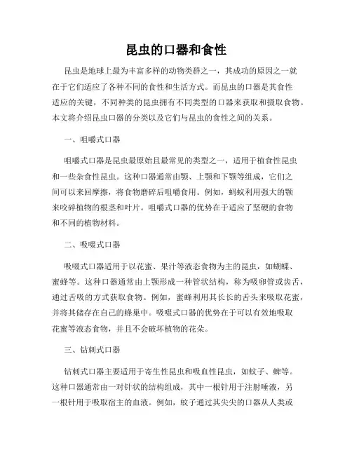 昆虫的口器和食性