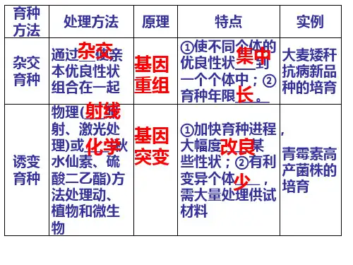 五种育种方法总结精品精编资料