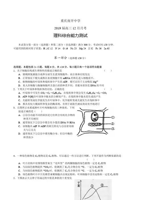 重庆南开中学2019届高三12月月考理科综合能力测试