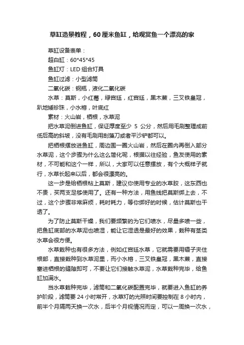 草缸造景教程，60厘米鱼缸，给观赏鱼一个漂亮的家