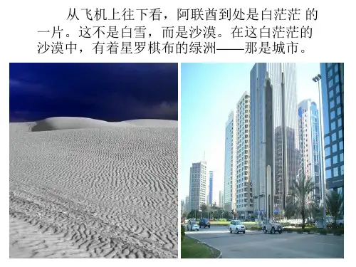 18沙漠中的绿洲精品PPT课件