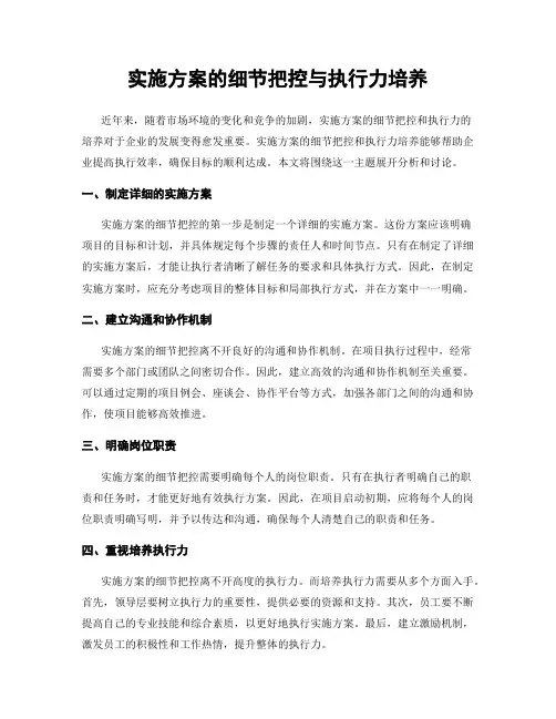 实施方案的细节把控与执行力培养