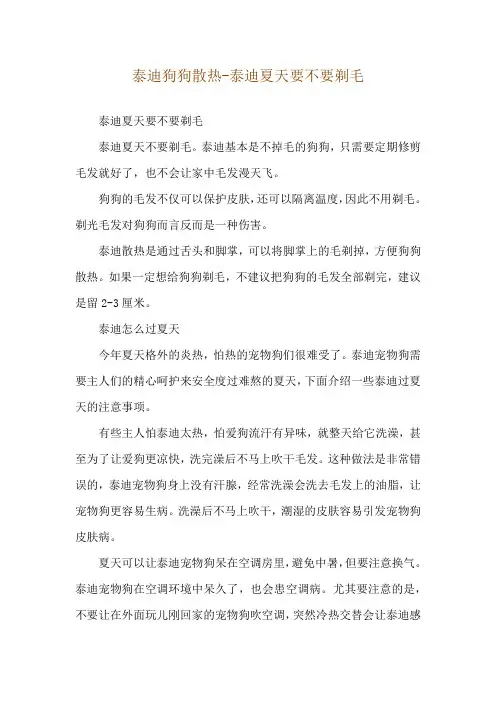 泰迪狗狗散热-泰迪夏天要不要剃毛