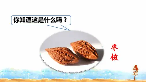 部编版三年级下册语文28枣核课件.ppt