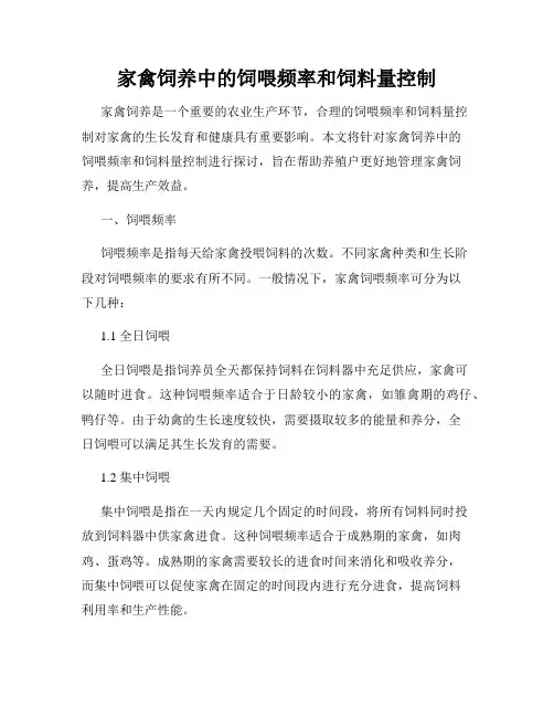 家禽饲养中的饲喂频率和饲料量控制