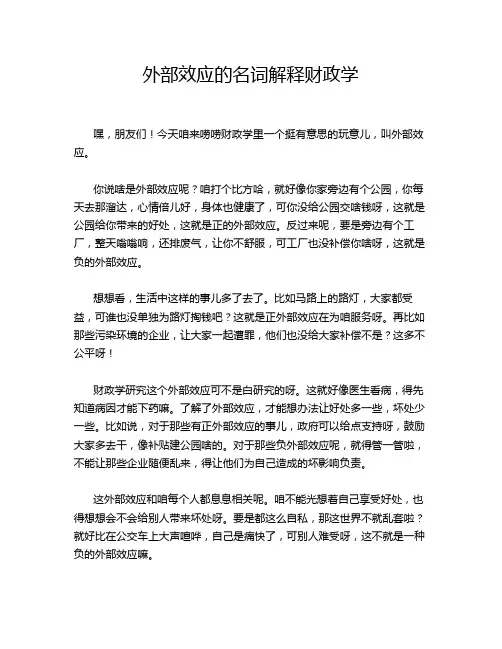 外部效应的名词解释财政学