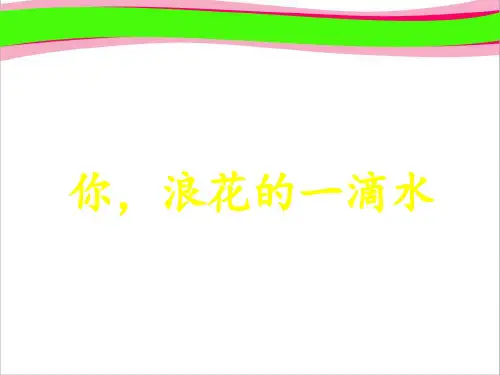 北师大版小学六年级语文《你_浪花的一滴水》课件   大赛获奖精美课件PPT