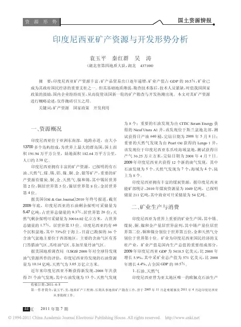 印度尼西亚矿产资源与开发形势分析_袁玉平