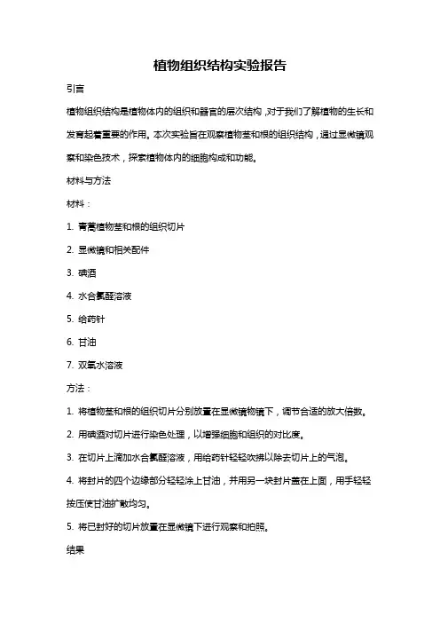 植物组织结构实验报告