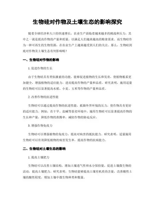 生物硅对作物及土壤生态的影响探究