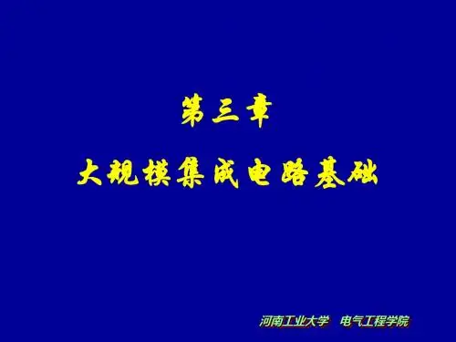 《微电子学概论》大规模集成电路基础-PPT精品文档