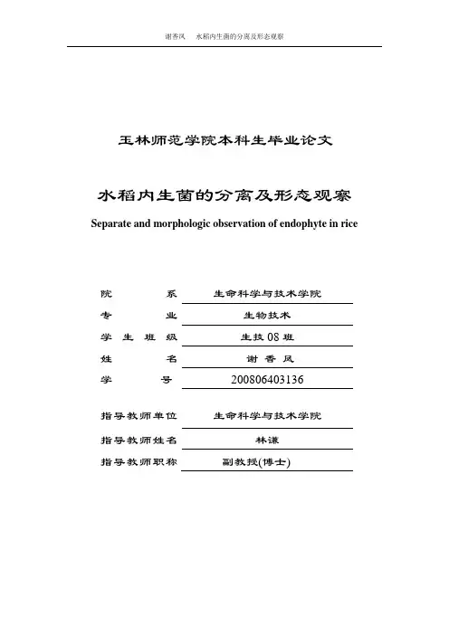 水稻内生菌的分离纯化与鉴定03较完整