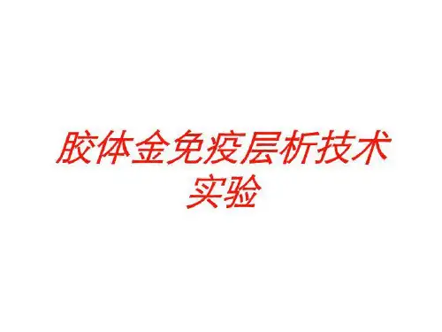 胶体金免疫层析技术实验培训课件