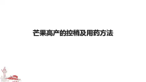 芒果高产的控梢及用药方法