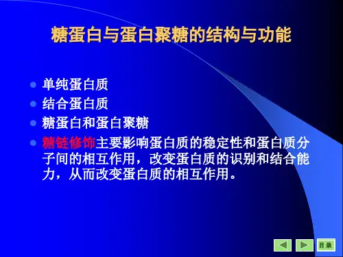 糖蛋白和蛋白聚糖课件